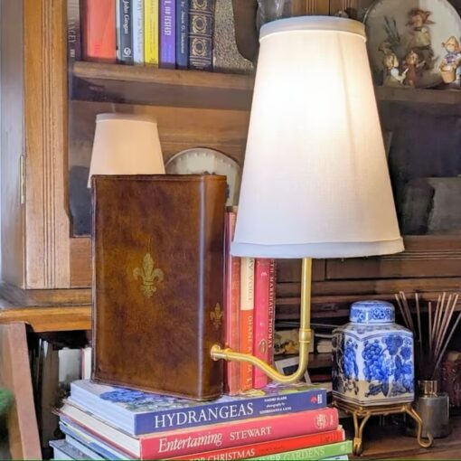 Battery-Powered Adjustable LED Reading Lamp