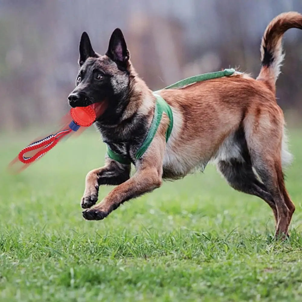 PlayPounce™ - Interactive Rolling Pet Toy Ball