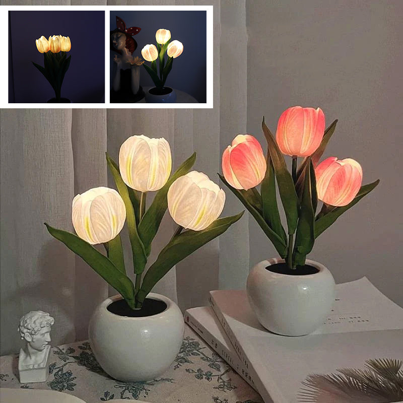 LumaBloom - Instantly Brighten Any Room with Warm, Cozy Light