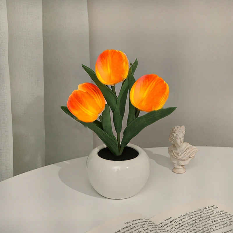 LumaBloom - Instantly Brighten Any Room with Warm, Cozy Light