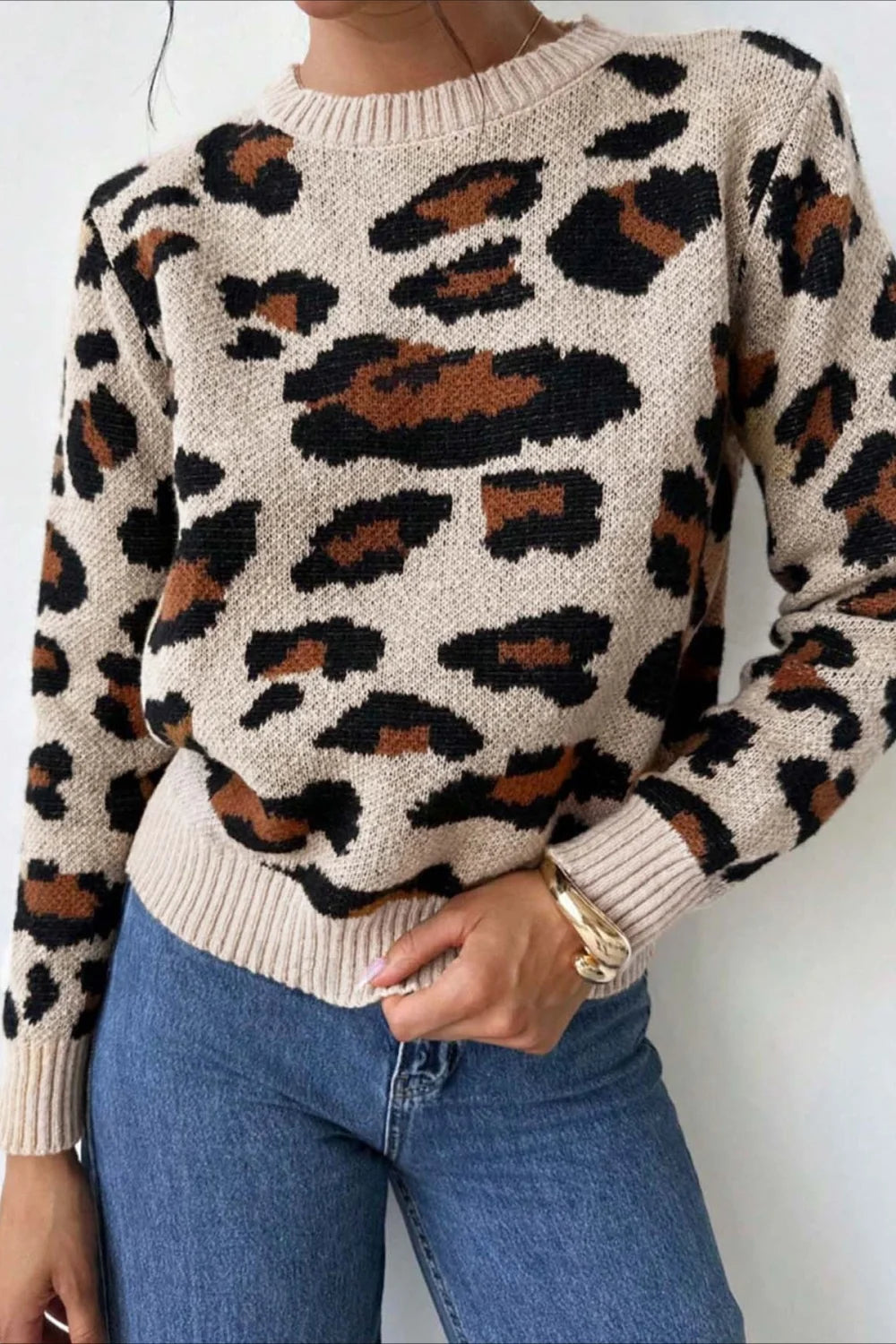 Chic Colorblock Leopard Print Crewneck Sweater
