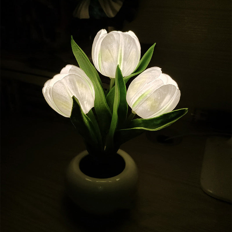 LumaBloom - Instantly Brighten Any Room with Warm, Cozy Light