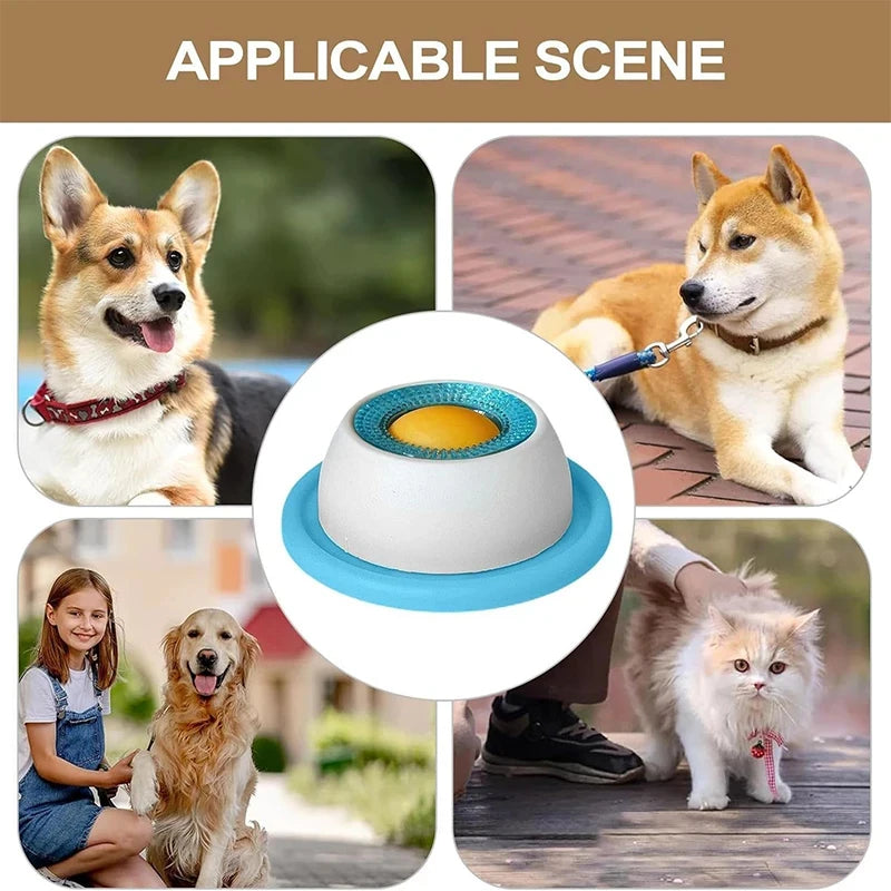 CalmPaws - Soothe Pet Anxiety and Stop Messes Instantly
