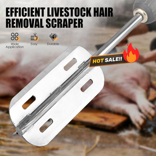 SilkEase™ - Electric Hair Removal Scraper