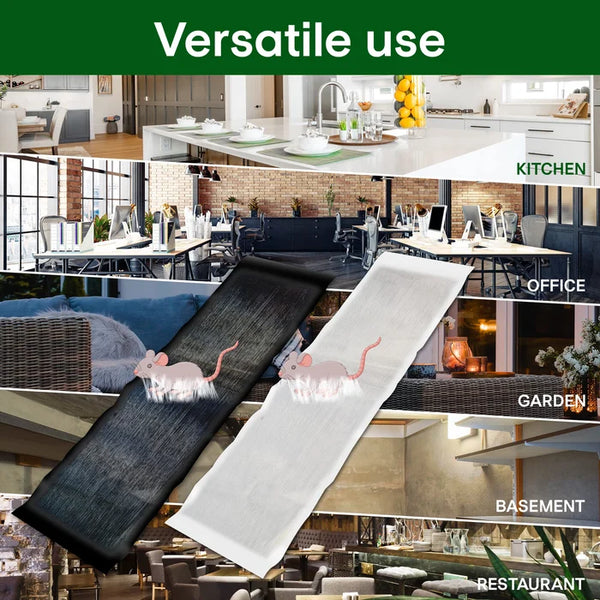 Strong Adhesive Rat Trap