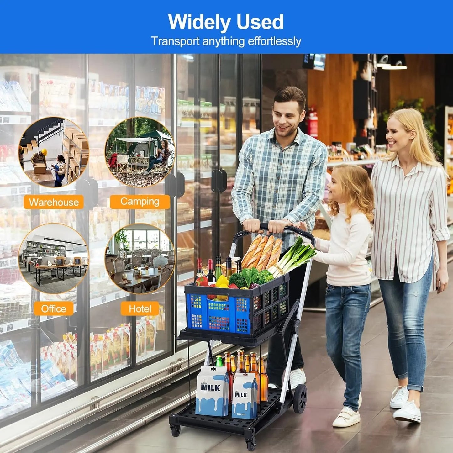 Foldable 2-Tier Rolling Shopping Cart