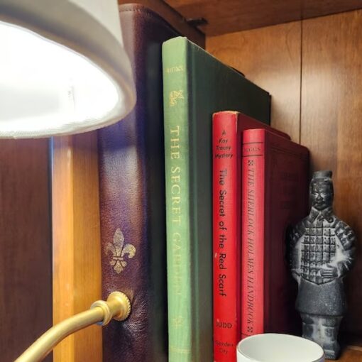 Battery-Powered Adjustable LED Reading Lamp