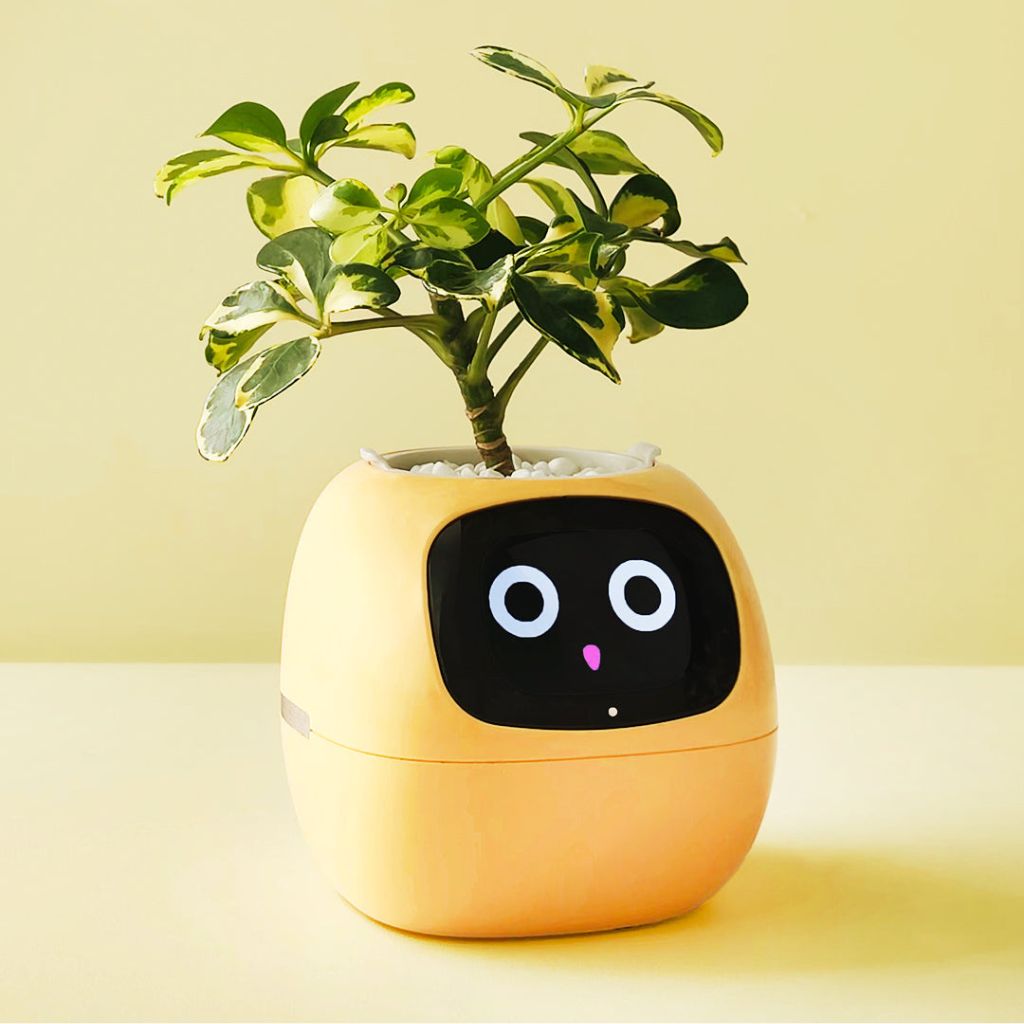 Modern Self-Watering Indoor Plant Pot