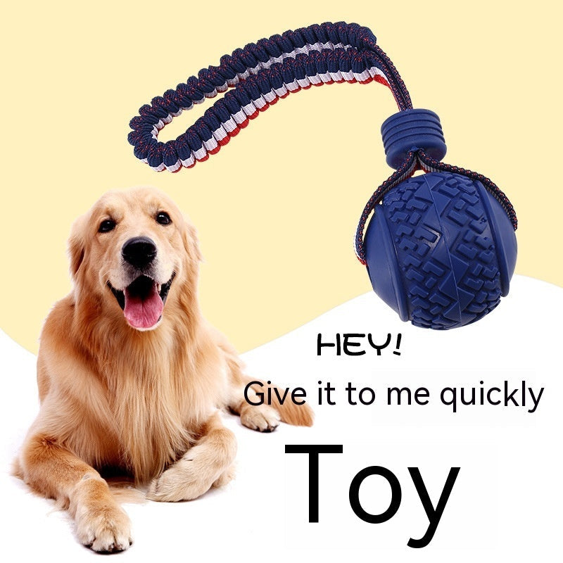 PlayPounce™ - Interactive Rolling Pet Toy Ball