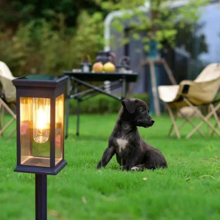 SolarGarden™ - Warm White Solar Pathway & Garden Accent Lights