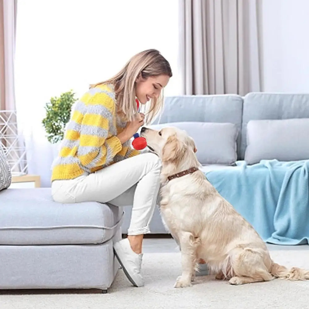 PlayPounce™ - Interactive Rolling Pet Toy Ball