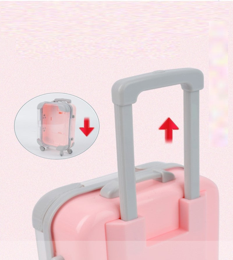 Mini Luggage Storage Box