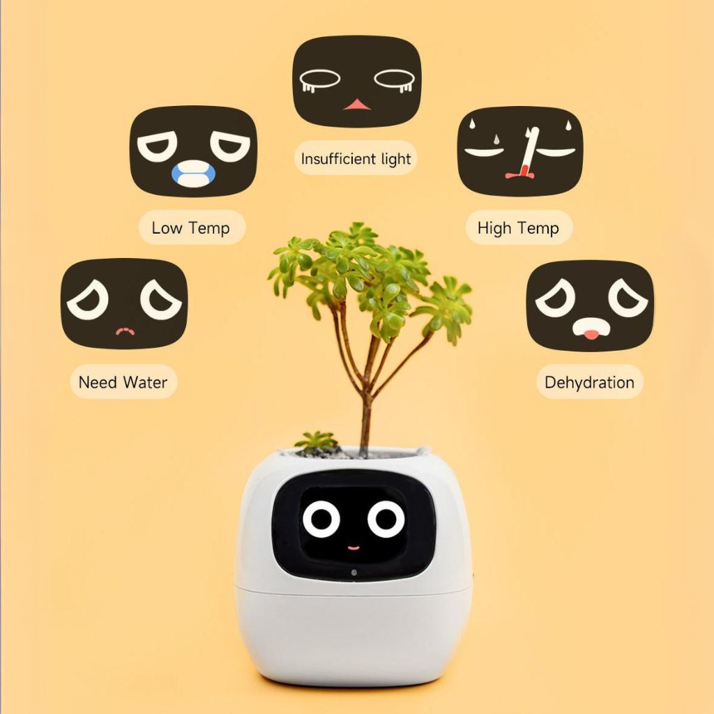 Modern Self-Watering Indoor Plant Pot
