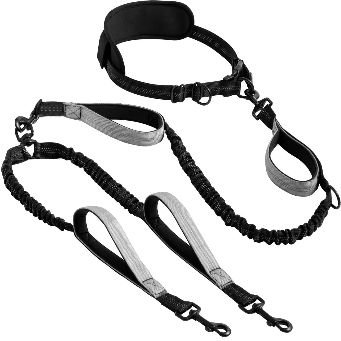 FreeStride - Hands-Free, Tangle-Free Control for Active Dog Walks