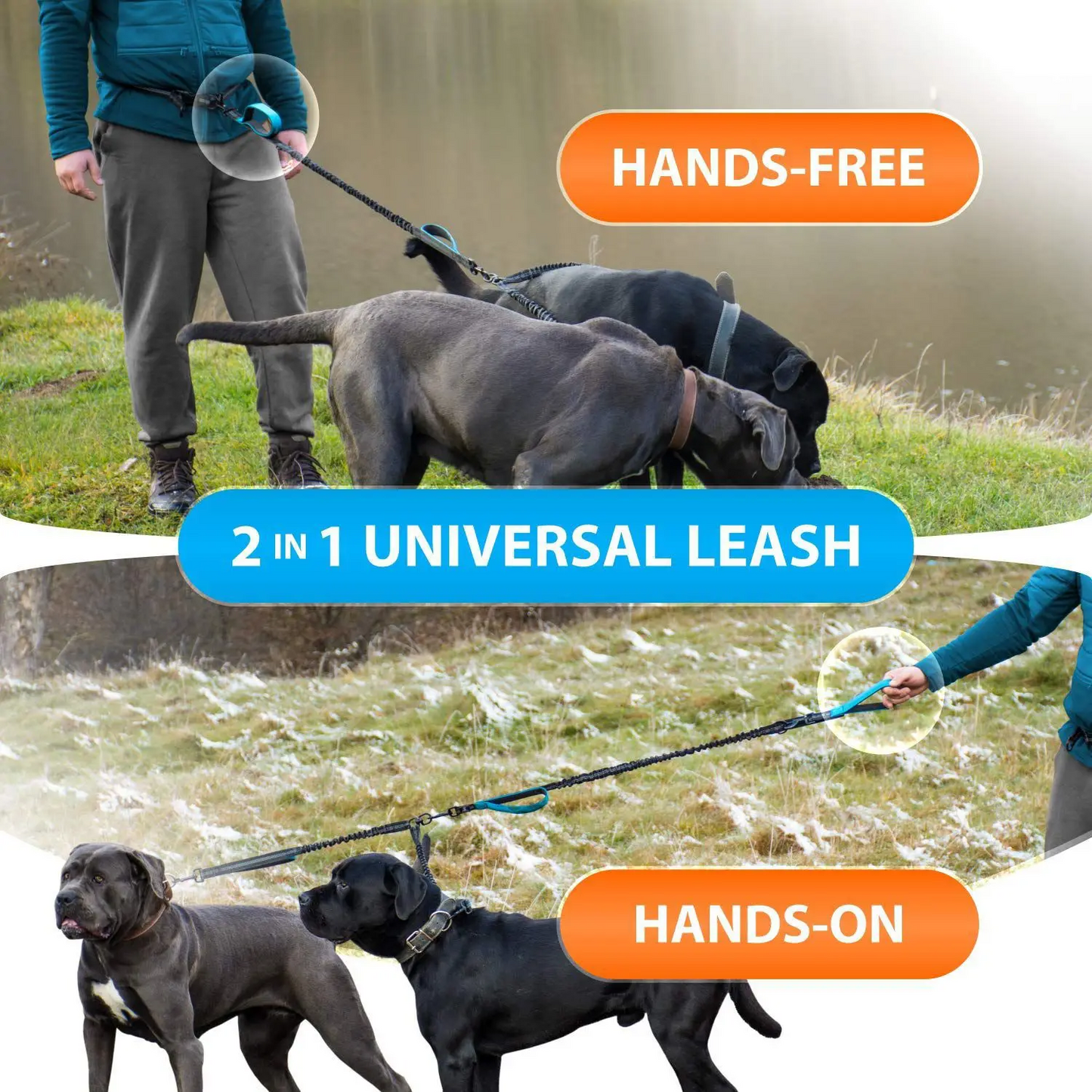 FreeStride - Hands-Free, Tangle-Free Control for Active Dog Walks