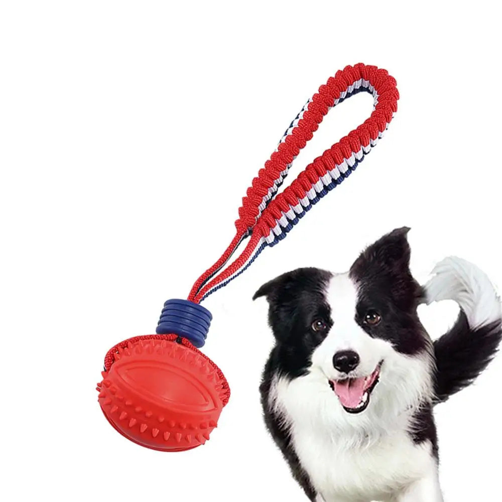 PlayPounce™ - Interactive Rolling Pet Toy Ball