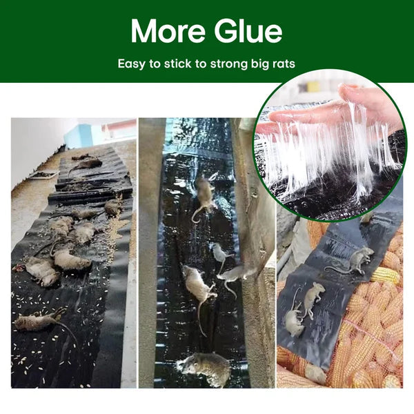 Strong Adhesive Rat Trap