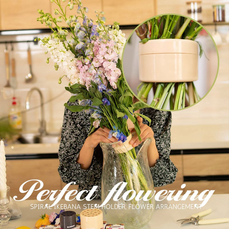SereneSpiral™ - Ikebana Flower Stem Holder for Elegant Arrangements