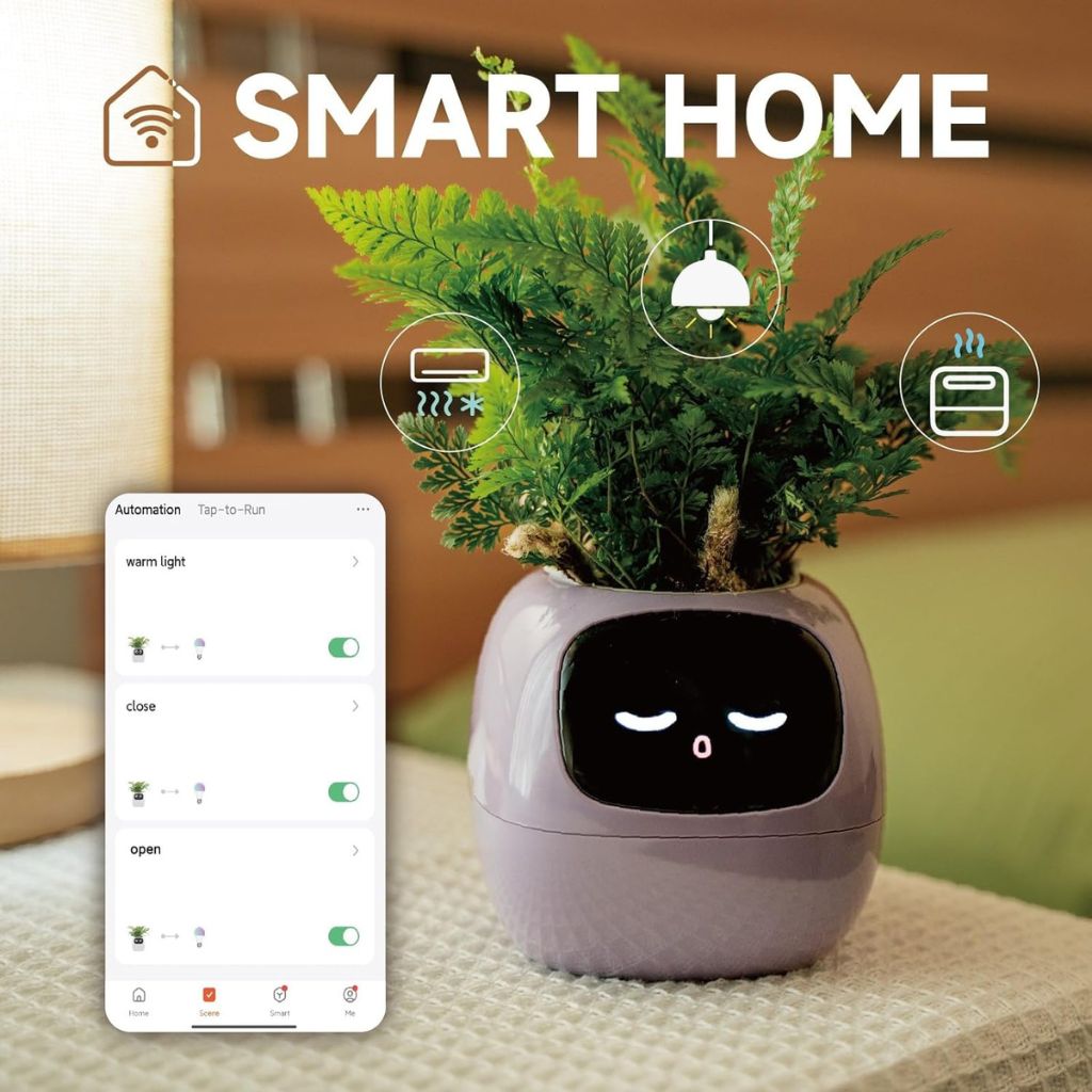 Modern Self-Watering Indoor Plant Pot