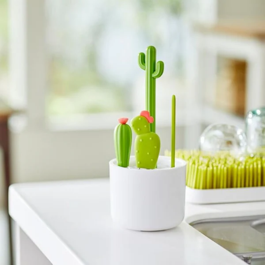 Multi-Purpose Cactus Cleaning Brush for Indoor Plants