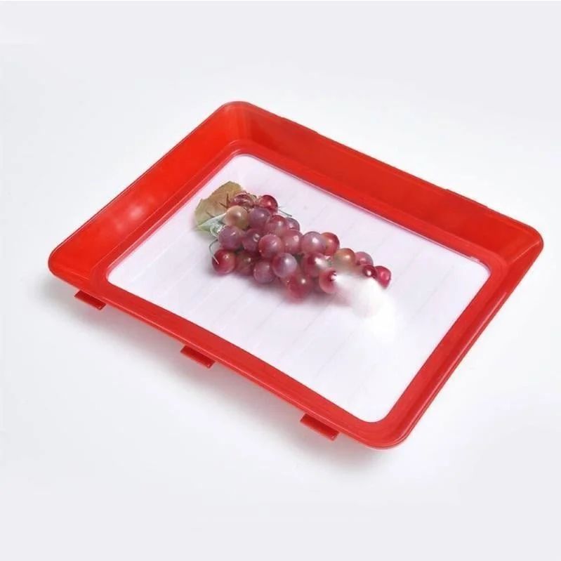 Reusable Airtight Food Storage Tray - Eco-Friendly Vacuum Seal Container