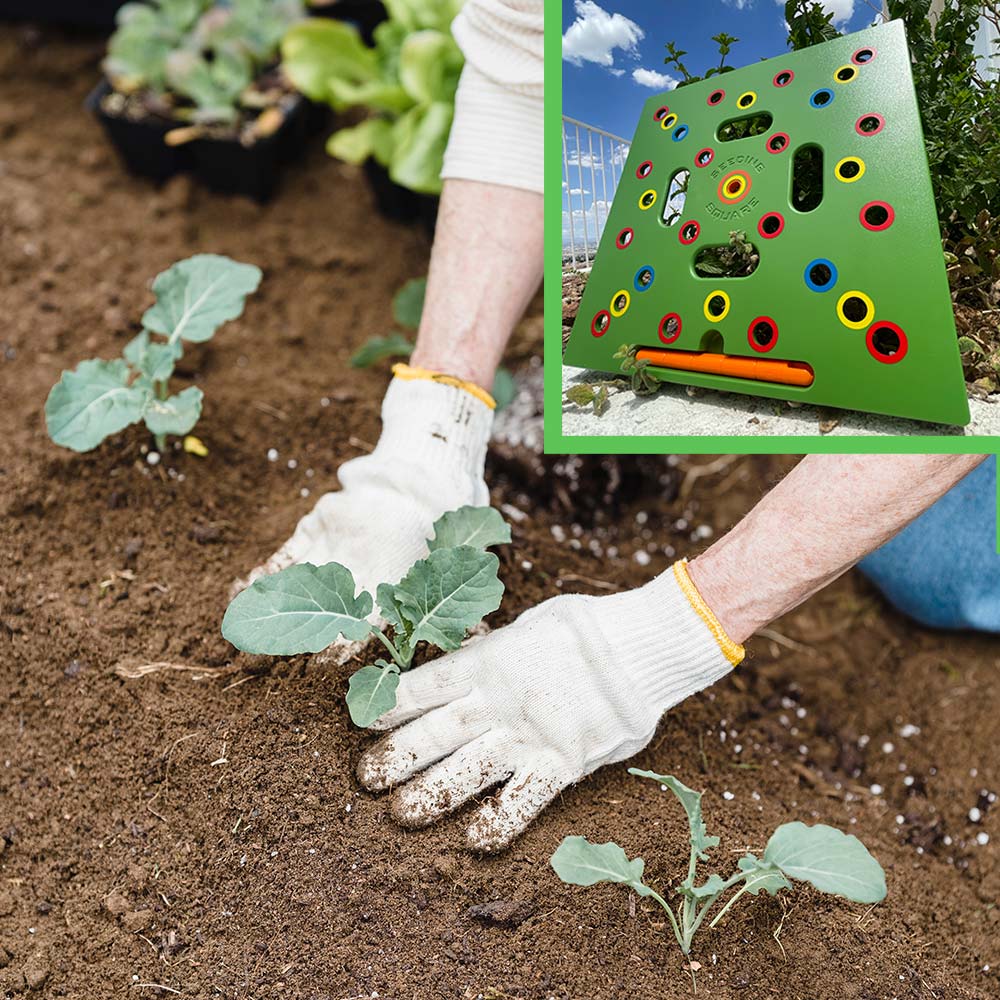 GrowMaster - Perfect Seed Spacing for Bigger, Healthier Harvests