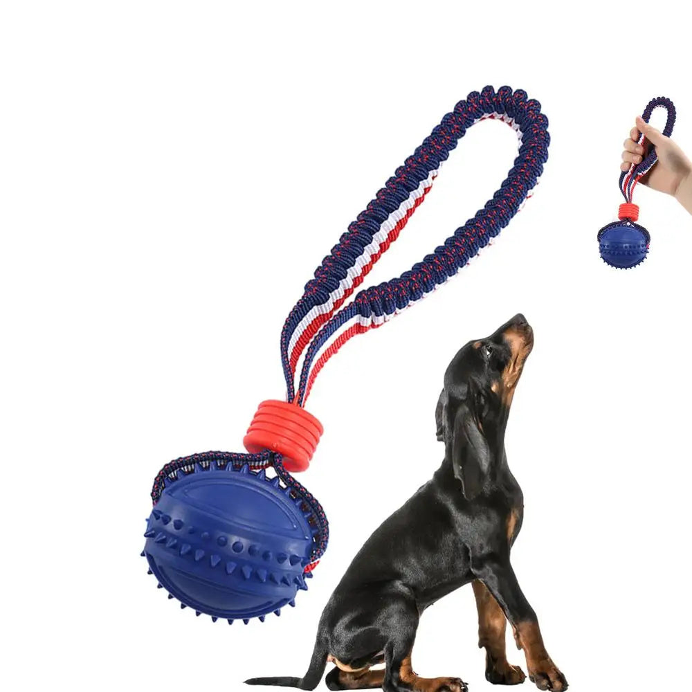 PlayPounce™ - Interactive Rolling Pet Toy Ball