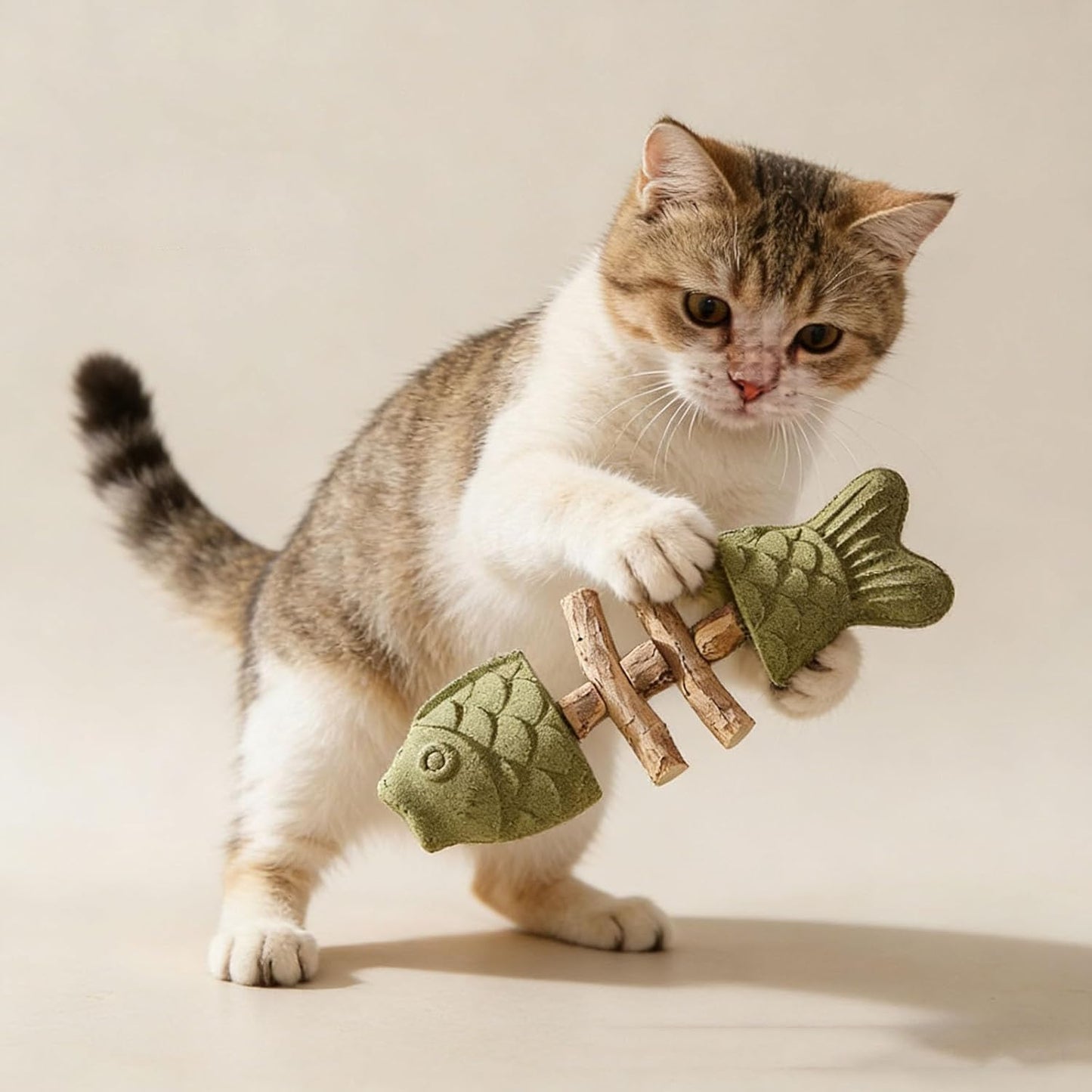 PurrEase - Calms Cats Naturally While Cleaning Teeth Gently