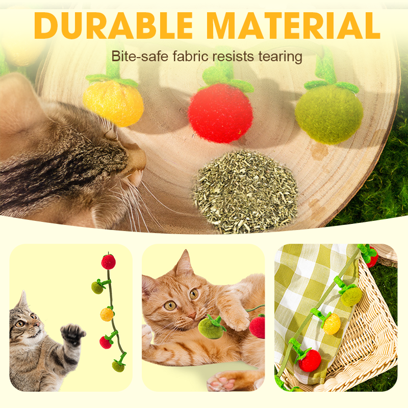 PurrVibe - Ignite Playfulness and Energy in Your Cat Today