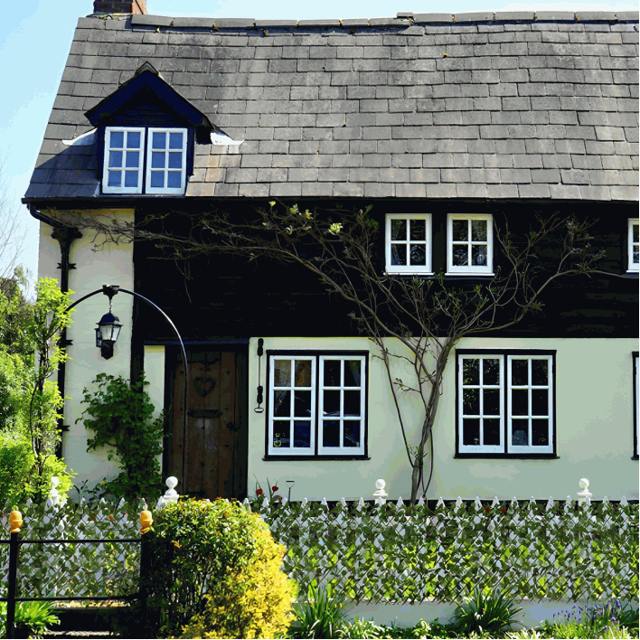 GreenHaven - Instant Lush Privacy with Zero Maintenance