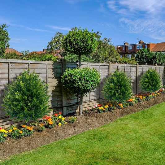 EverLush - Lush Greenery That Stays Vibrant Without Any Care