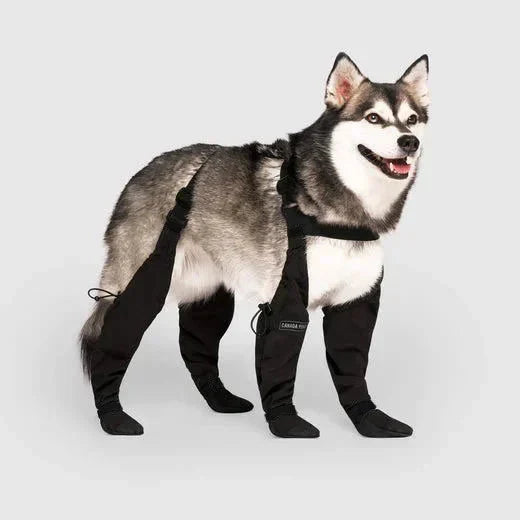 Waterproof Dog Paw Protectors for Outdoor Adventures