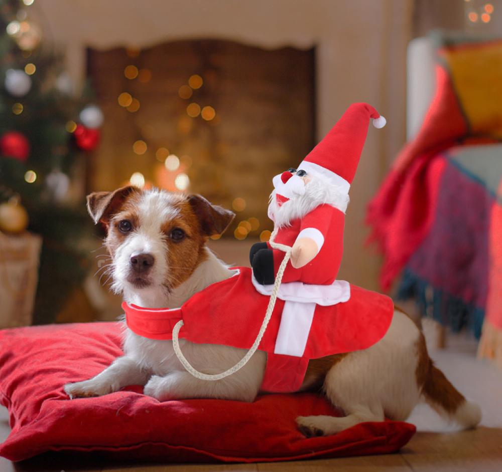 Festive Holiday Dog Sweater for Cozy Celebrations