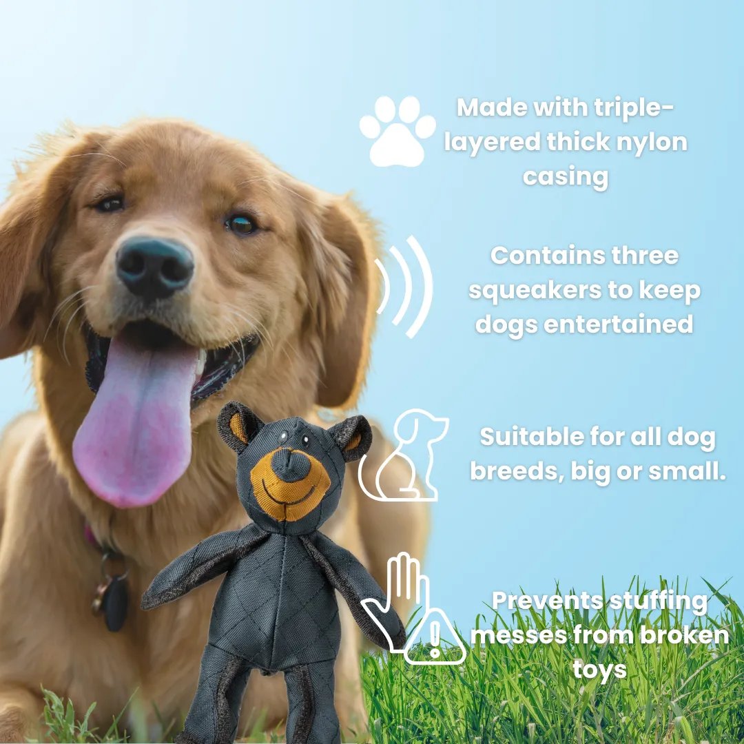 Durable Long-Lasting Dog Chew Toy