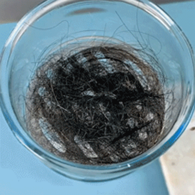FreshFlow™ - Pipe Dredge Deodorizer and Cleaner