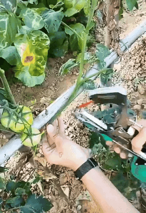 GreenLink™ - Automatic Garden Plant Tying Tool