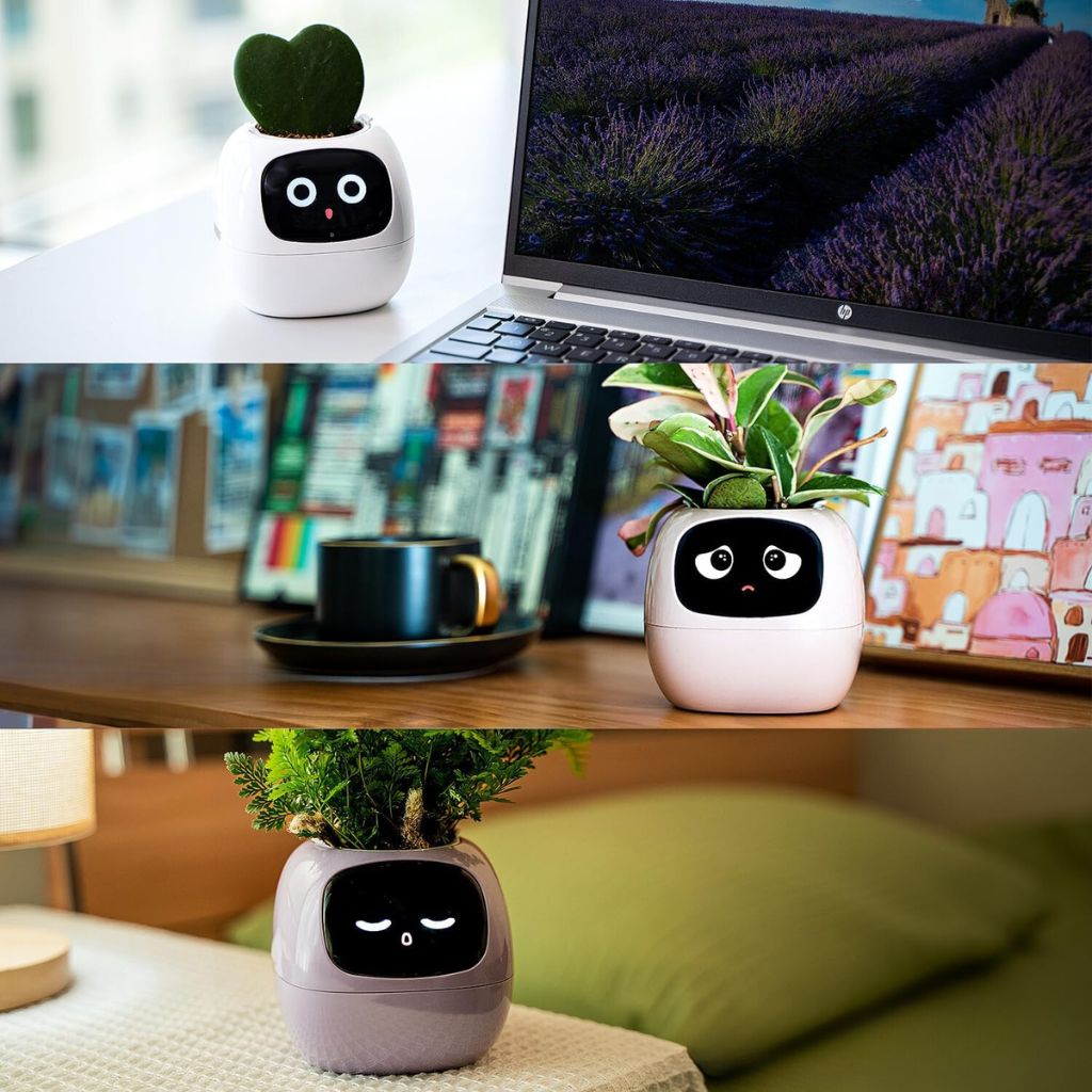 Modern Self-Watering Indoor Plant Pot