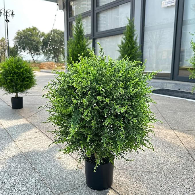 EverLush - Lush Greenery That Stays Vibrant Without Any Care