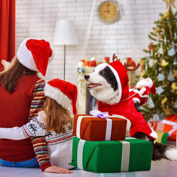 Festive Holiday Dog Sweater for Cozy Celebrations