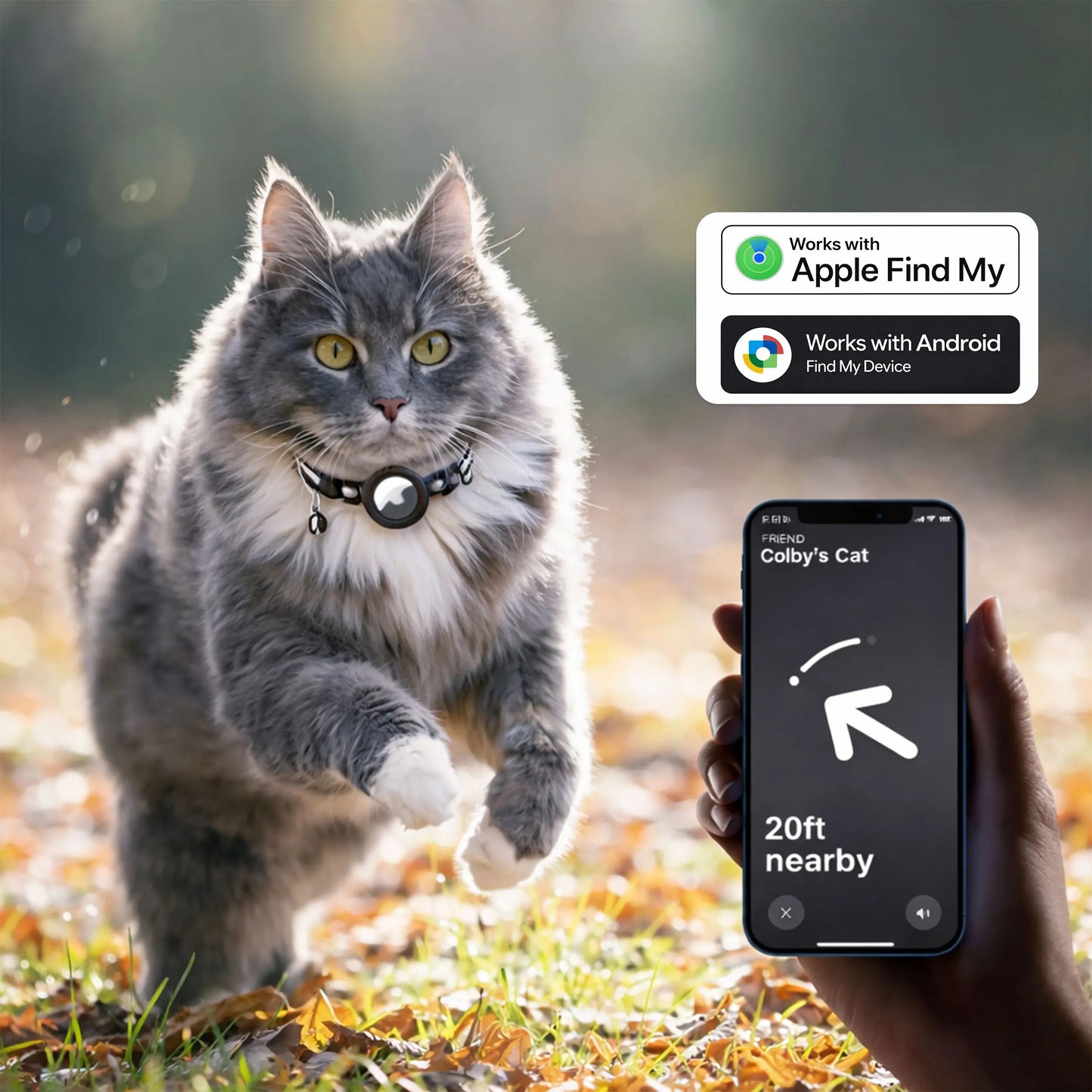 PawTrackr - Instantly Know Your Cat’s Location Anytime, Anywhere