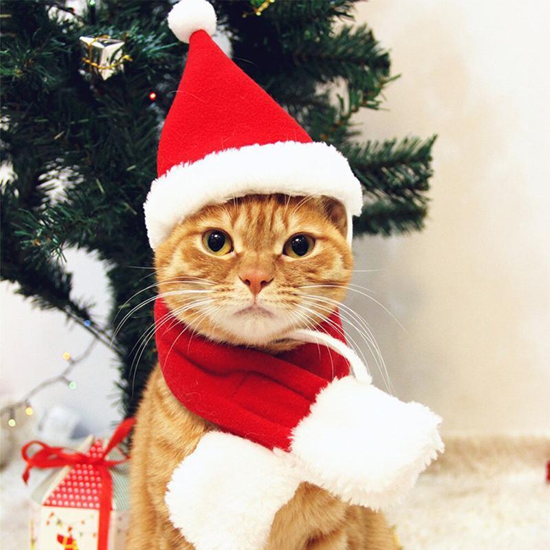 FestivaPaws™ - Cozy Holiday Pet Costumes for Festive Fun