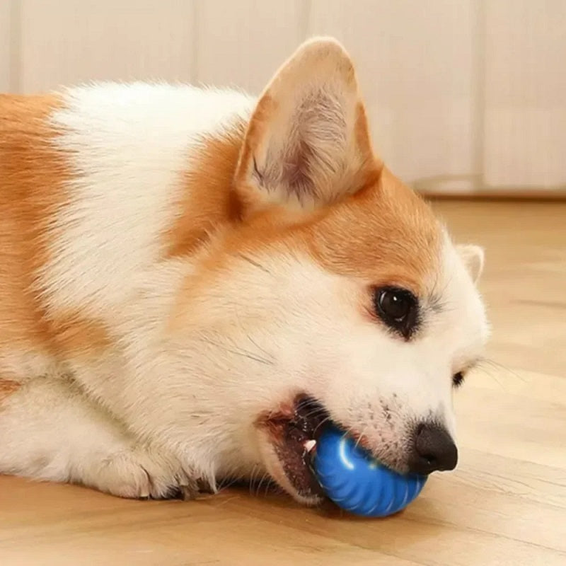 PawJoy™ - Interactive Automatic Moving Ball Toy for Pets