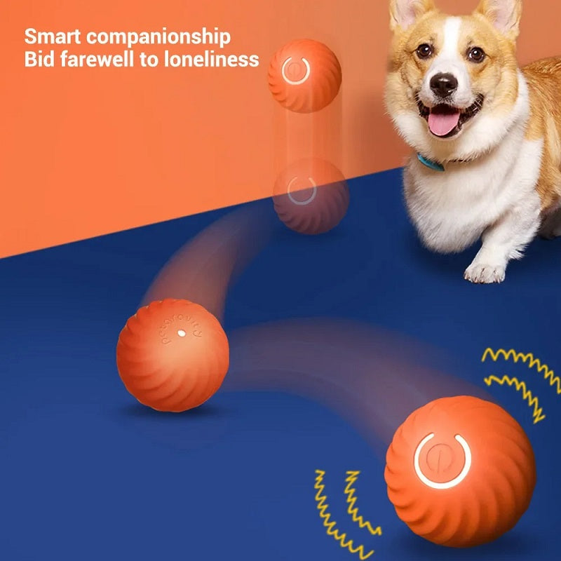 PawJoy™ - Interactive Automatic Moving Ball Toy for Pets
