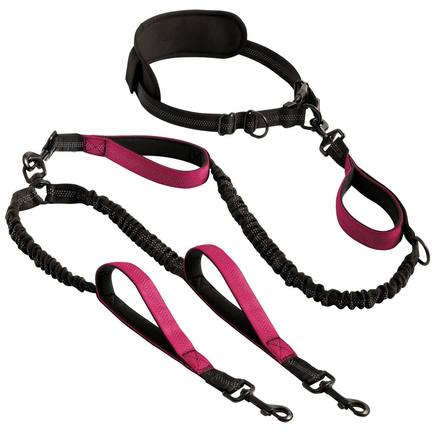 FreeStride - Hands-Free, Tangle-Free Control for Active Dog Walks