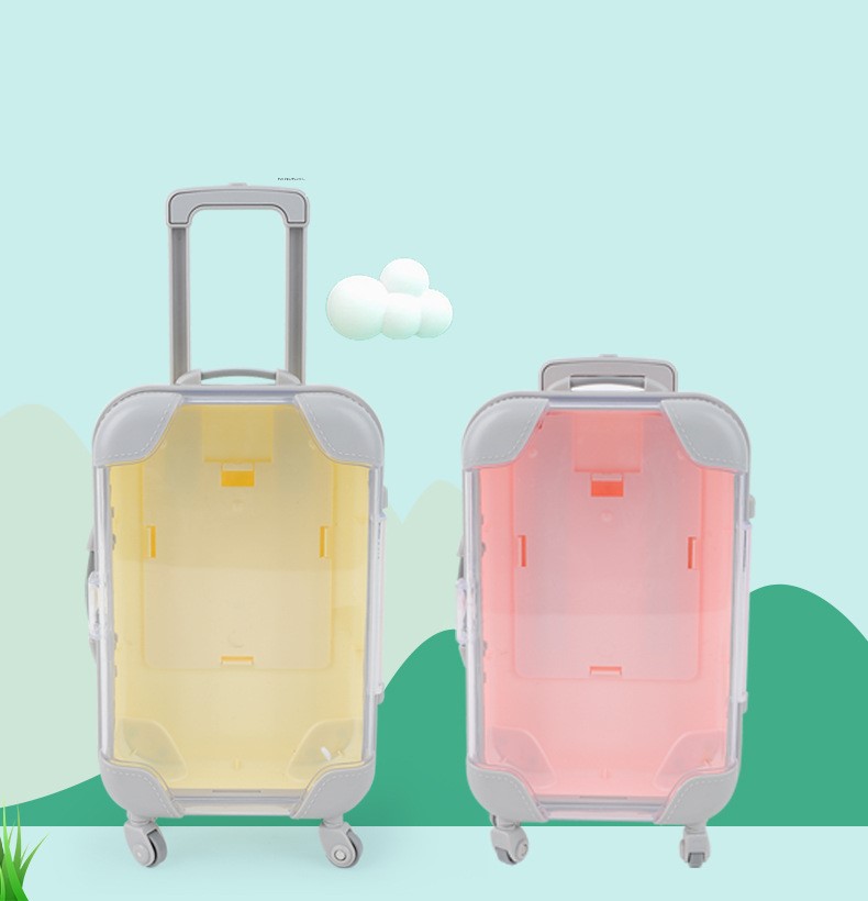 Mini Luggage Storage Box