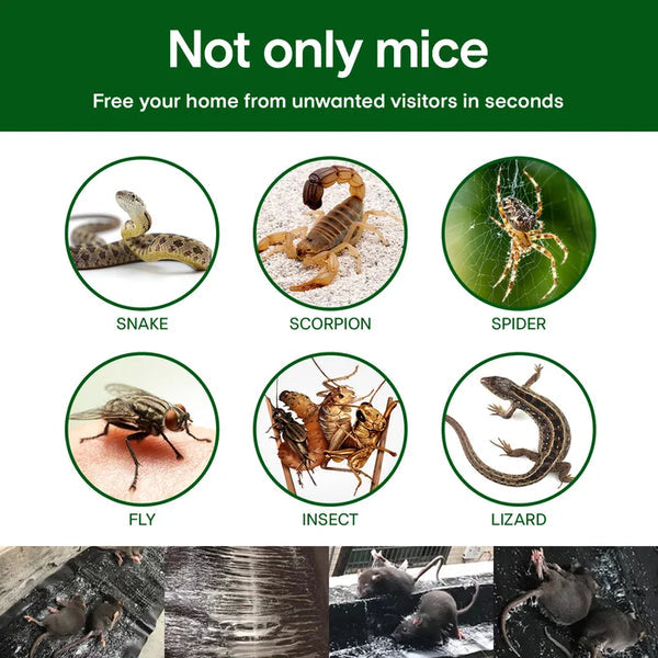 Strong Adhesive Rat Trap