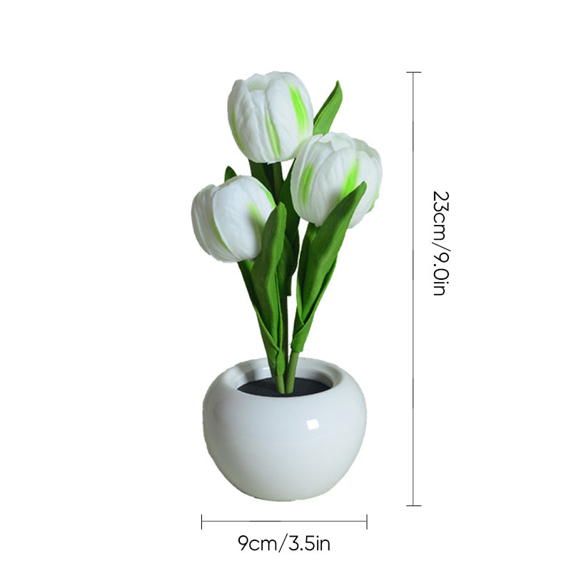 LumaBloom - Instantly Brighten Any Room with Warm, Cozy Light