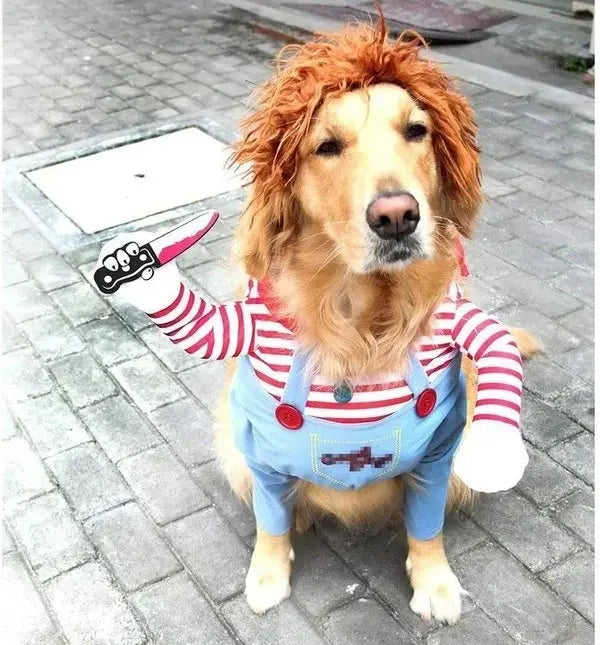 Cute and Spooky Pet Costume for Halloween Fun