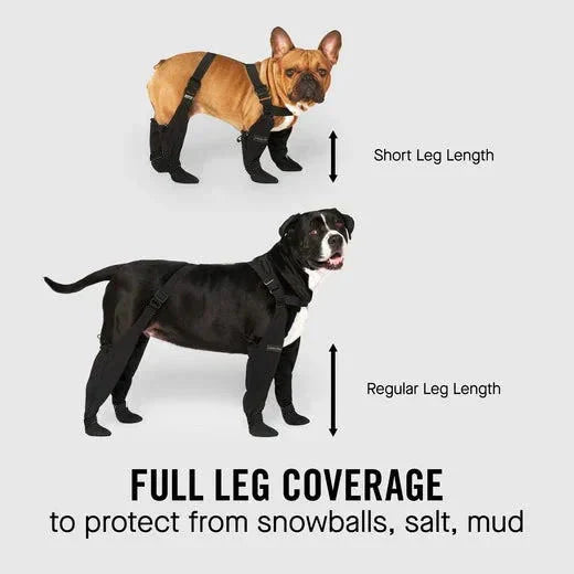 Waterproof Dog Paw Protectors for Outdoor Adventures