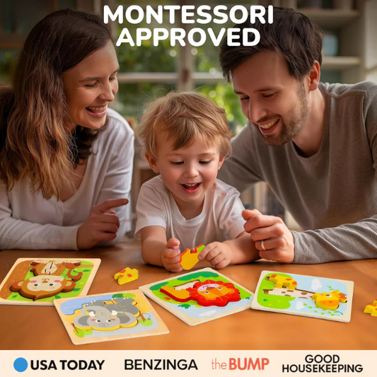 Wooden Puzzle Toy